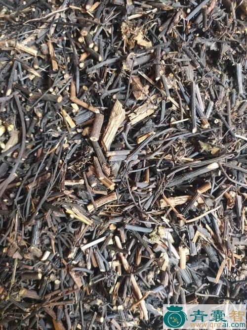 沙叶铁线莲的性状性味归经以及功效用法-青囊智