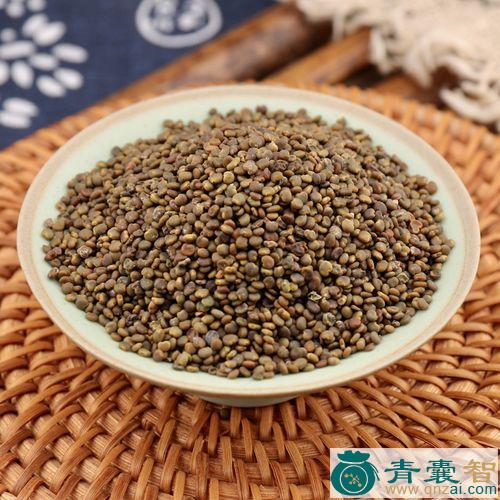 中药材沙噀图片