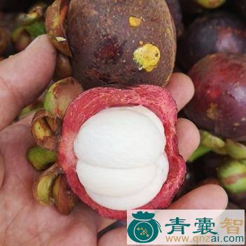 中药材沙竹图片