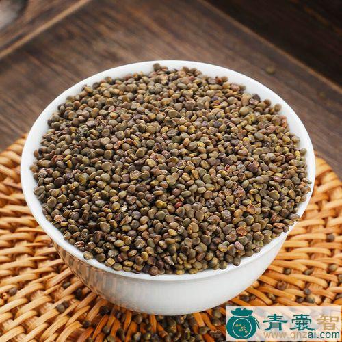 中药材沙罐草图片