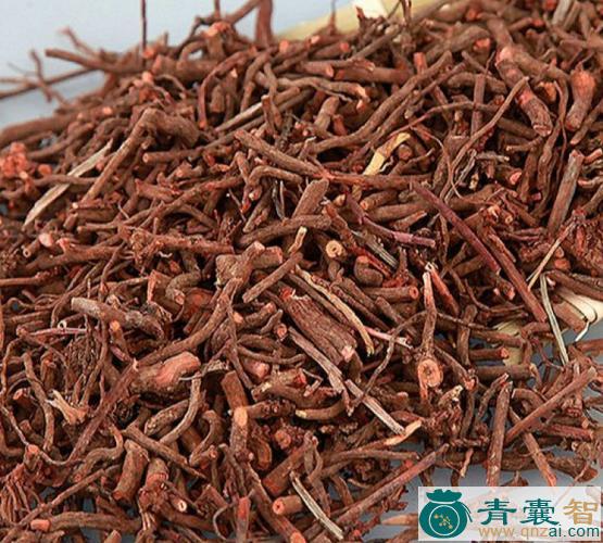 中药材沙茜秧根图片