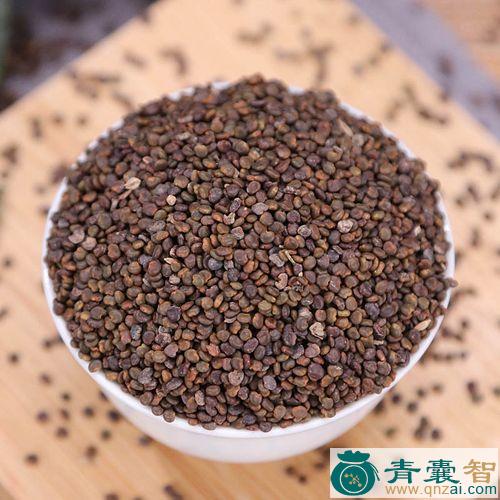 中药材沙蒺藜图片