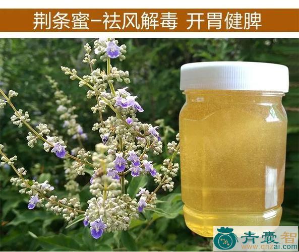 中药材沙蜜图片
