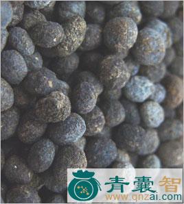中药材沙针图片