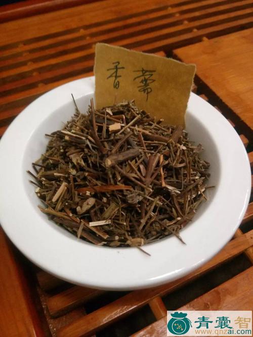 中药材沟香薷图片