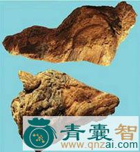 中药材河套大黄图片