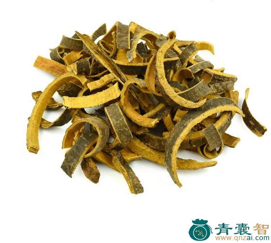中药材河柏图片