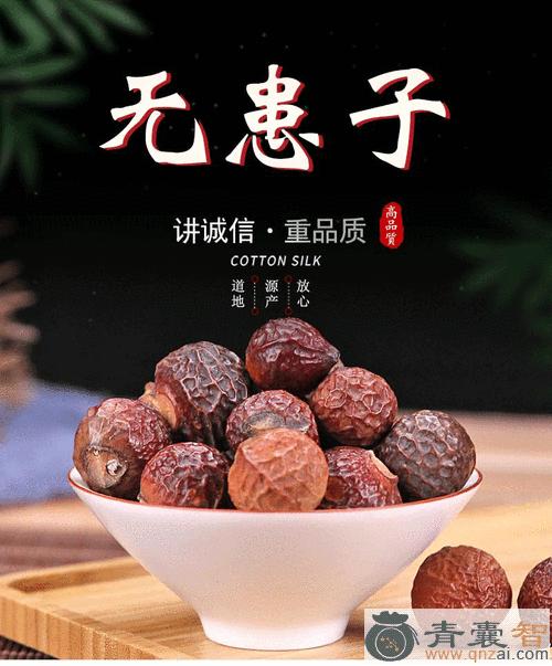 中药材油患子图片