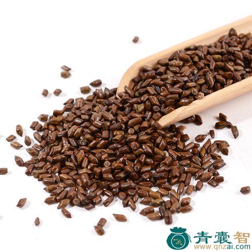中药材油明子图片