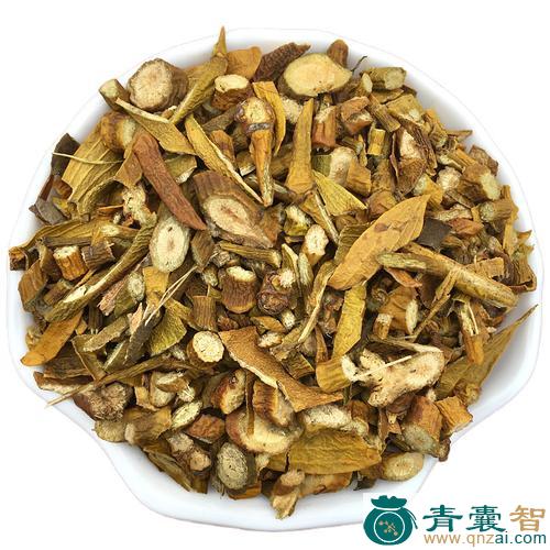 中药材油桐寄生图片