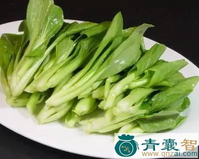 中药材油白菜图片