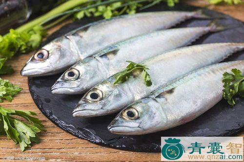 中药材油胴鱼图片