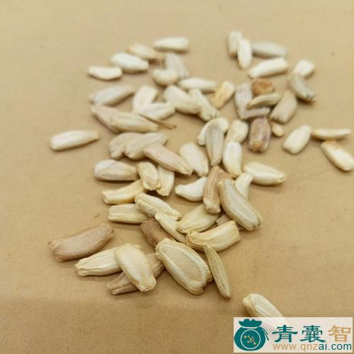 中药材油葫芦子图片