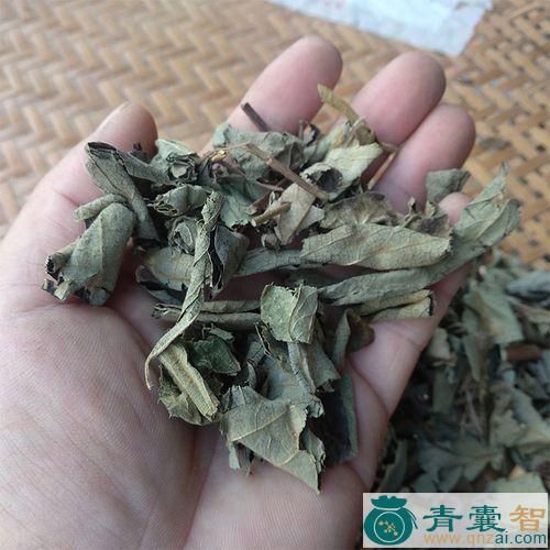 中药材油麻甲图片