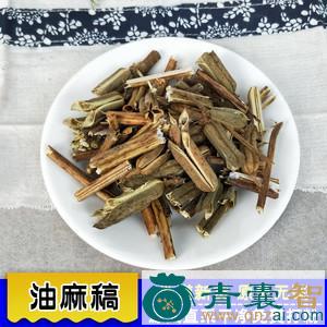 中药材油麻稿图片