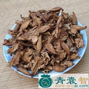 中药材泡花桐图片