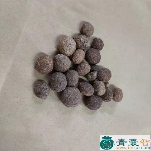 波罗砂的性状性味归经以及功效用法-青囊智