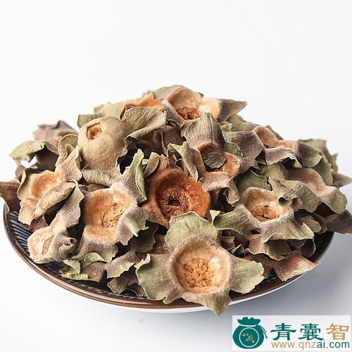 洋柿子的性味归经以及功效用法-青囊智