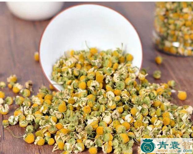 中药材洋甘菊图片