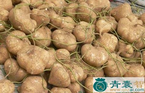 中药材洋番薯图片