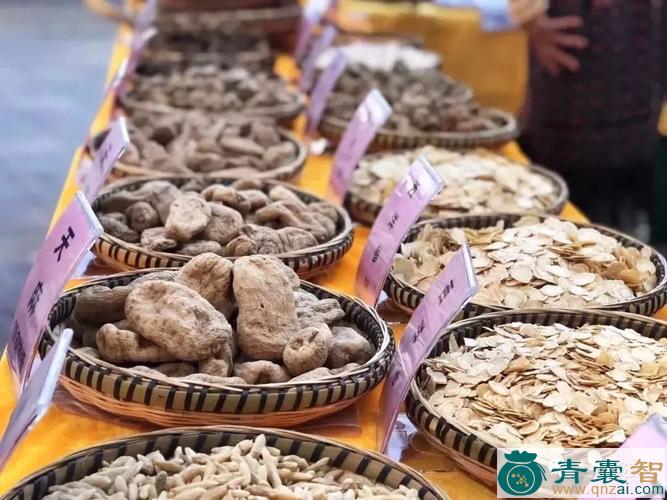 中药材活东图片