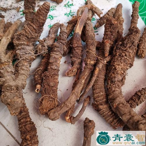 中药材活头图片