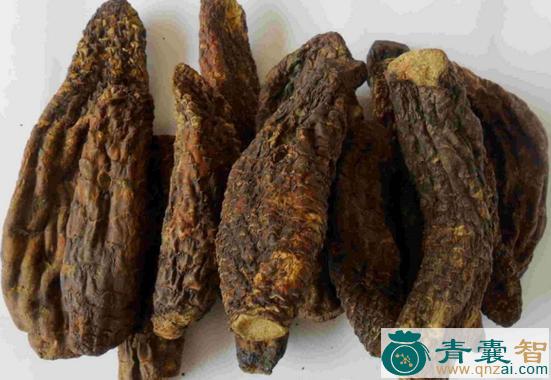 中药材活宝图片