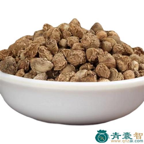 流珠的性状性味归经以及功效用法和注意事项-青囊智