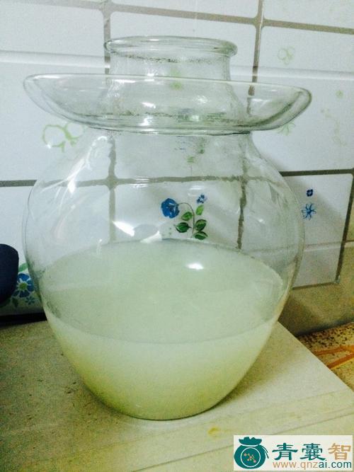 中药材浆水图片