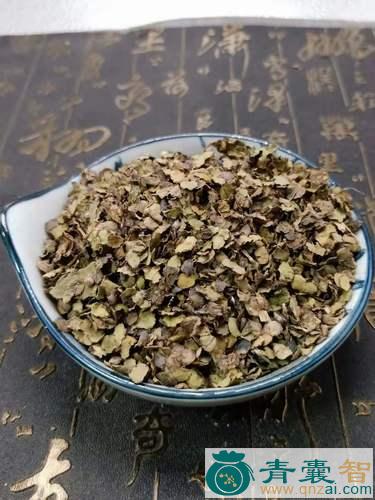 中药材浮蓱图片