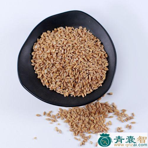 浮麦的性状性味归经以及功效用法和注意事项-青囊智