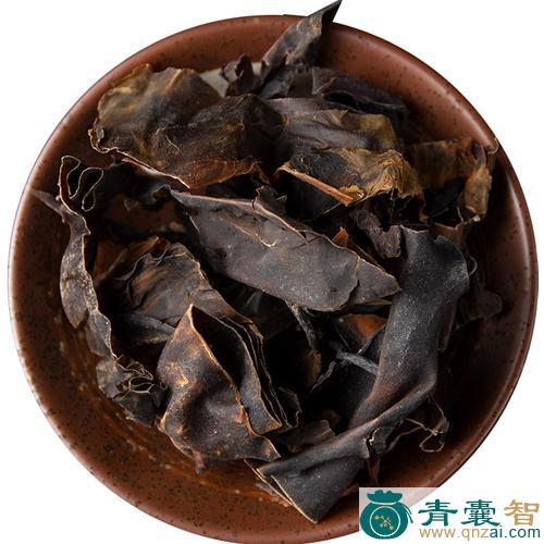 海带的性状性味归经以及功效用法-青囊智