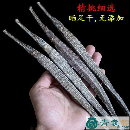中药材海底龙图片