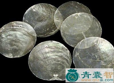 中药材海月图片