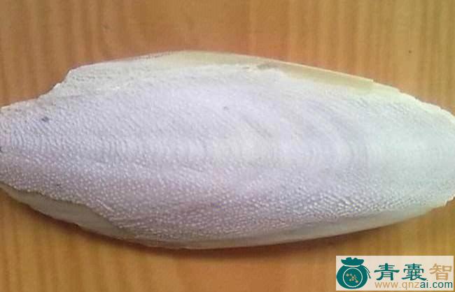 海皮消的性状性味归经以及功效用法和注意事项-青囊智