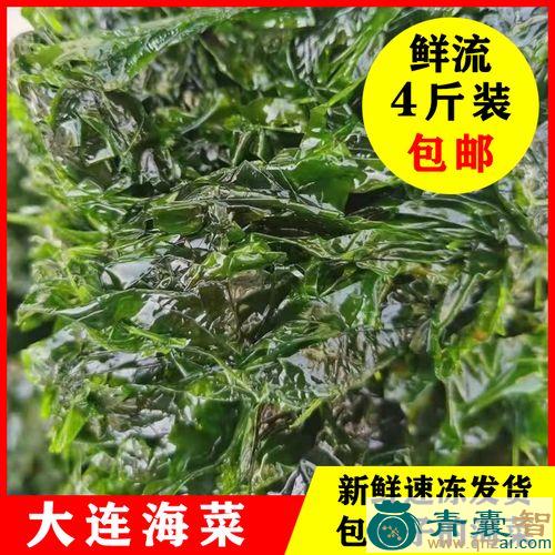 中药材海绿图片