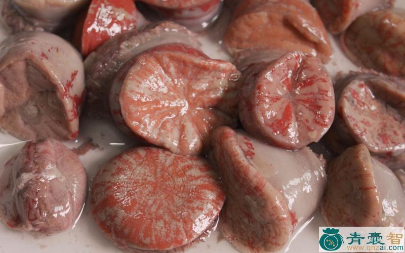 中药材海腚根图片