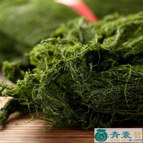 中药材海苔菜图片