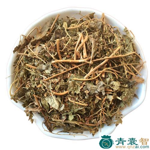 中药材海金沙根图片