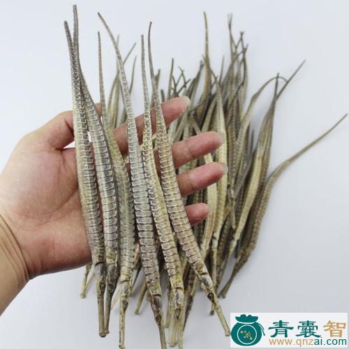 中药材海龙图片