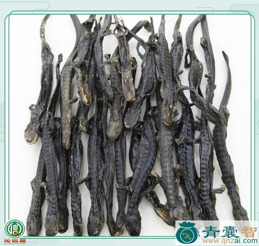 中药材混鱼图片