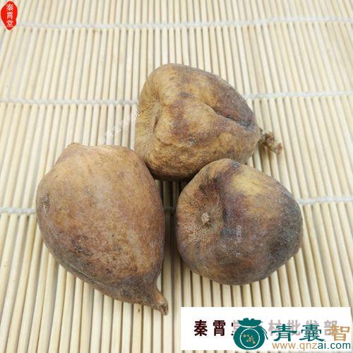 中药材添钱果图片
