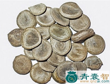 中药材滇南马钱图片