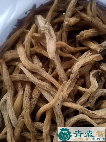 中药材滇百部图片