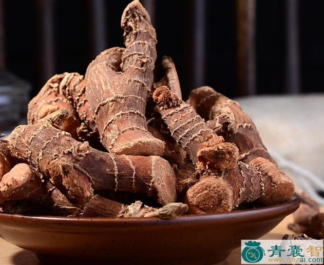 中药材滇高良姜图片