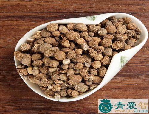 中药材滴水不干图片