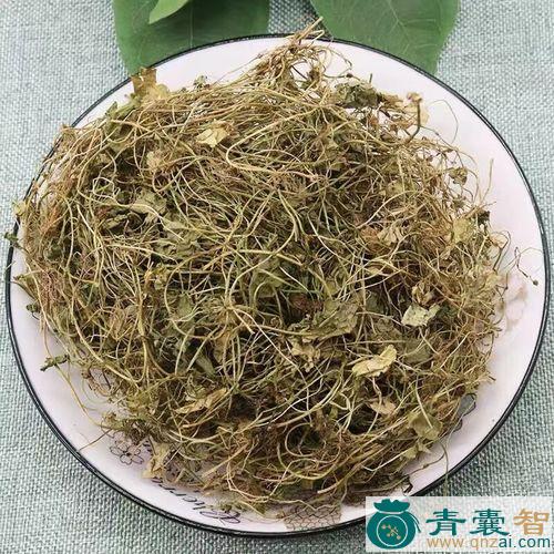 中药材漫水草图片