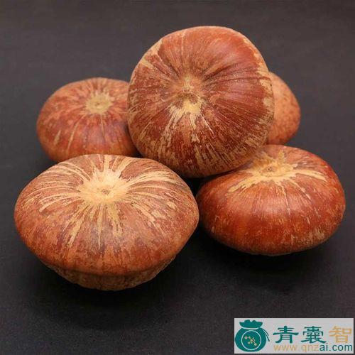 中药材潺果图片
