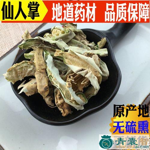 中药材火掌图片