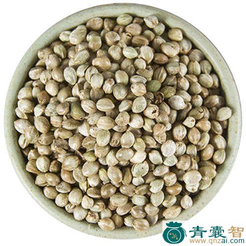 中药材火水麻子图片